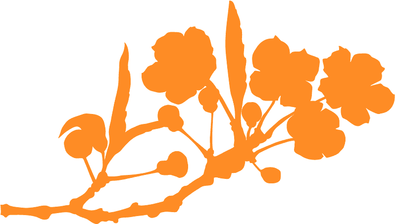 Flower Clipart (800x458), Png Download