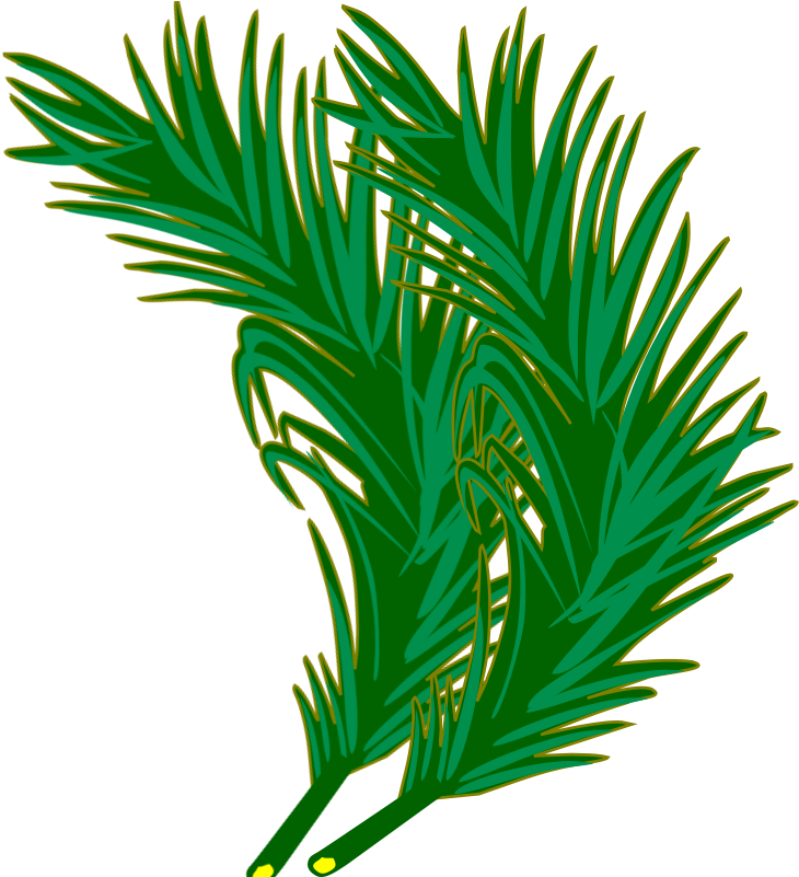 Clip Art - Png Download (800x800), Png Download