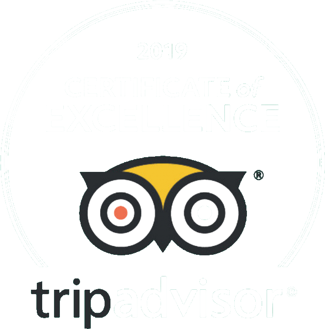 Sudeley Castle Trip Advisor Certificate Of Excellence - Google Reviews Vs Tripadvisor Clipart (700x700), Png Download