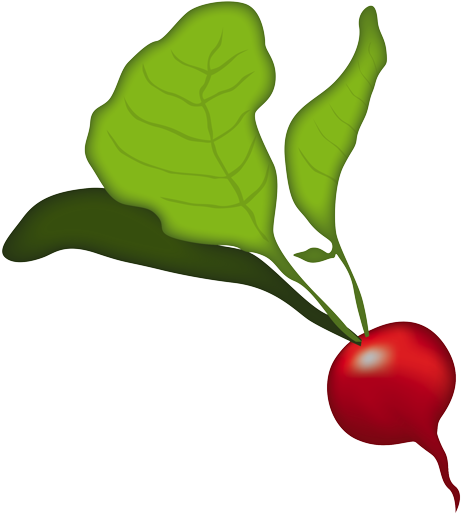 Radish Clipart (595x595), Png Download