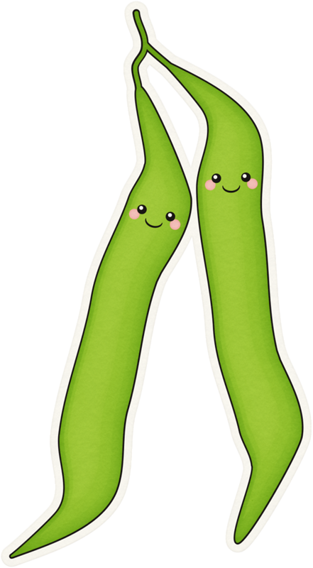 Cartoon Green Bean Drawing Clipart (441x800), Png Download