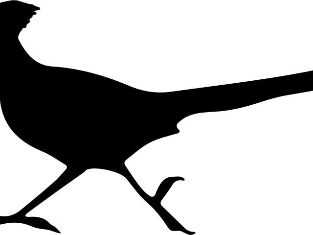 Roadrunner Clipart Svg, Roadrunner Svg Transparent - Roadrunner Clip Art - Png Download (640x480), Png Download