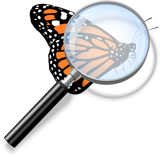 Monarch Butterfly Clipart Transparent Background - Png Download (600x600), Png Download