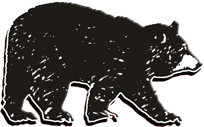 American Black Bear Clipart (710x710), Png Download