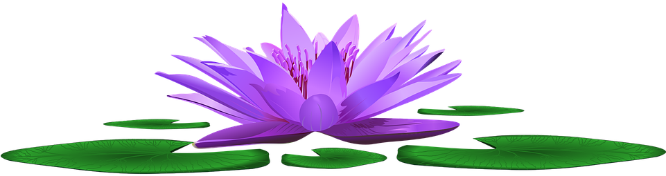 Pond Clipart (960x480), Png Download