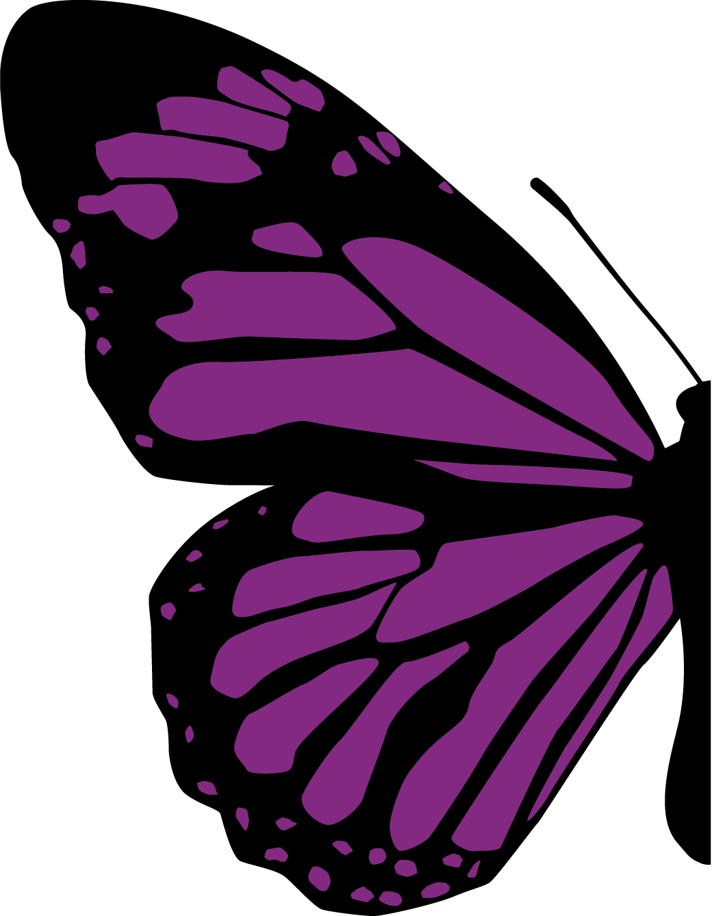 Half Of Butterfly Png Clipart (1040x1338), Png Download