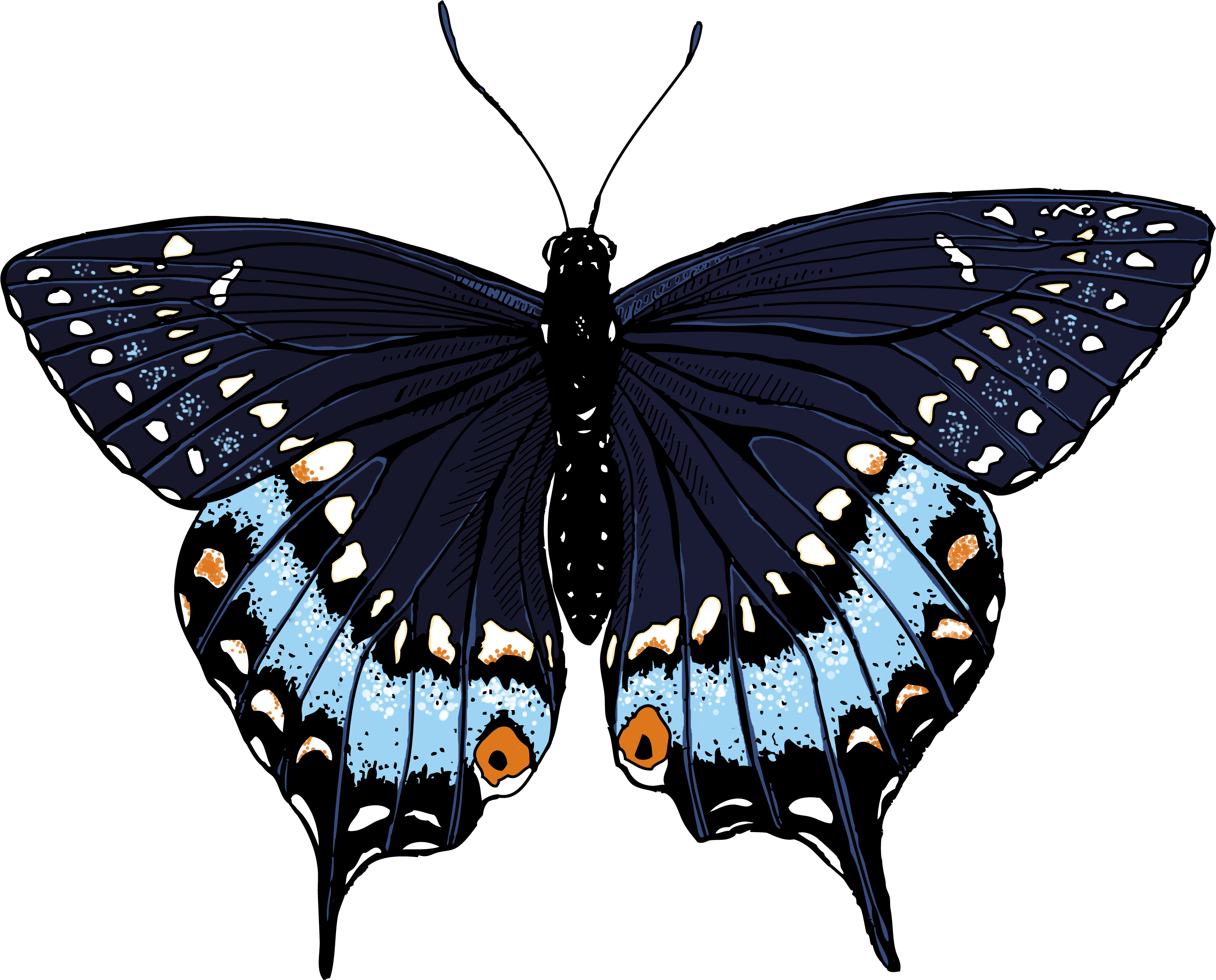 Unemployment Clipart - Png Download (3060x2700), Png Download