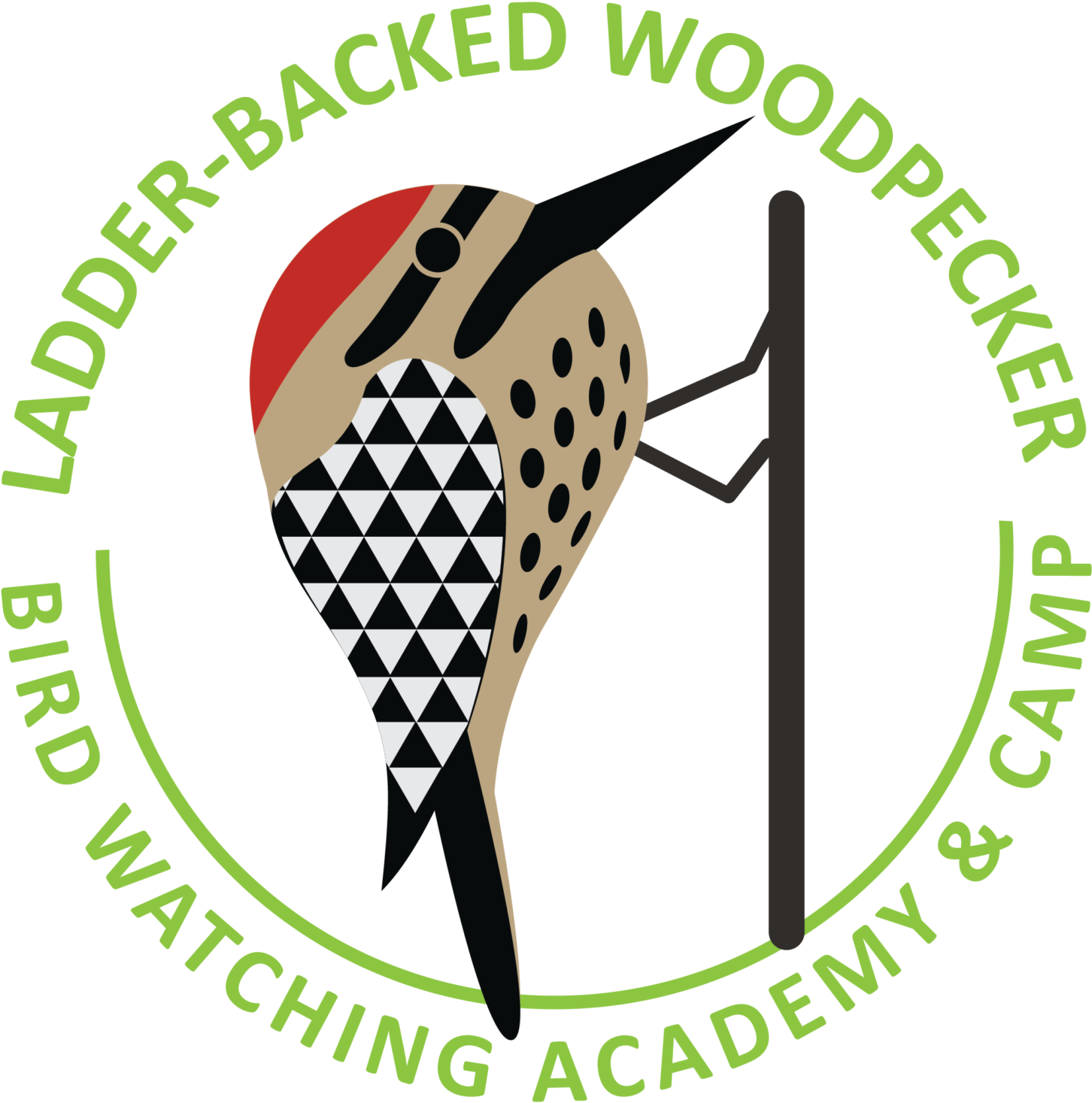 Ladder-backed Woodpecker Picture Clipart (1850x2048), Png Download