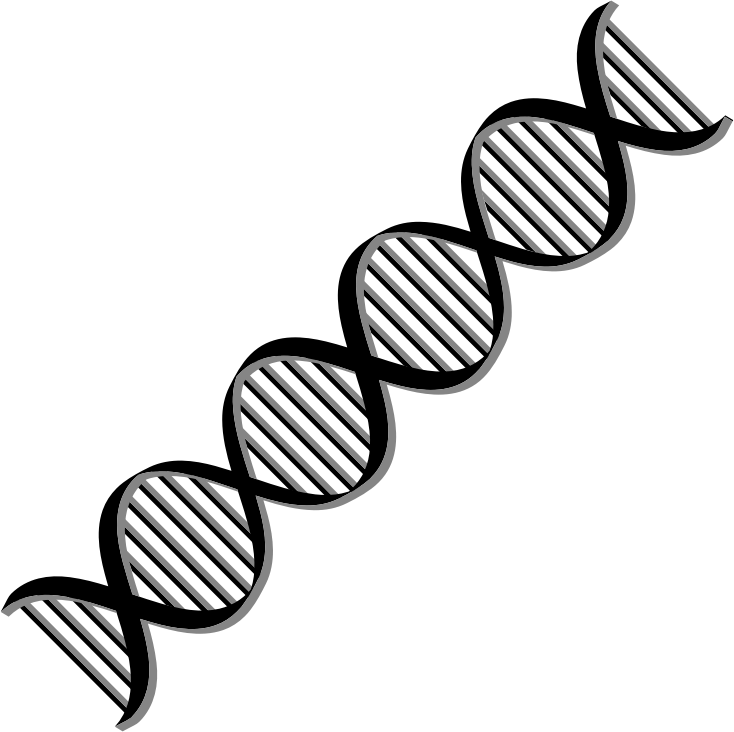 Dna Helix Variation - Double Helix Dna Clipart - Png Download (734x732), Png Download