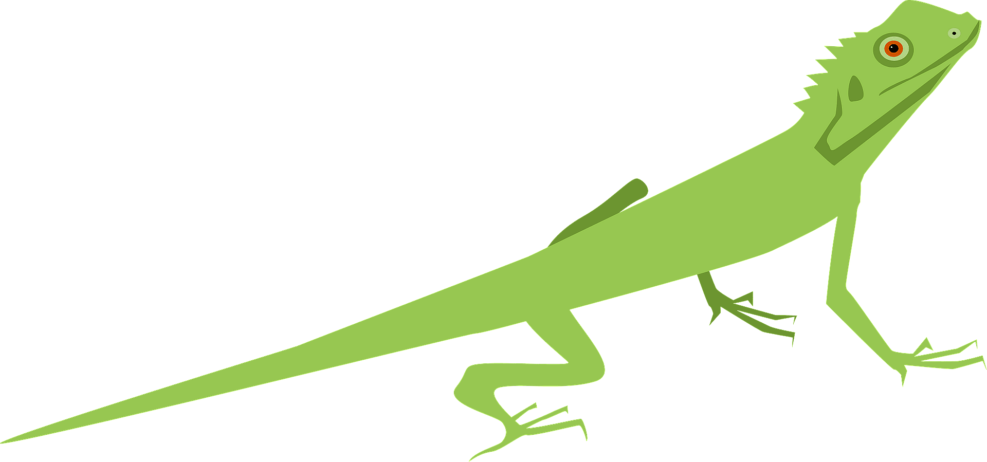 Lizard Clipart - Png Download (1920x899), Png Download