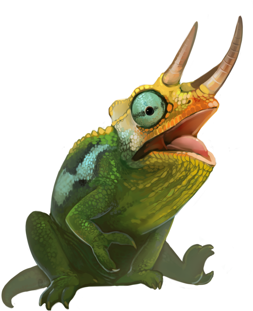 Transparent Jackson Chameleon Clipart - Wallace's Flying Frog - Png Download (833x1023), Png Download
