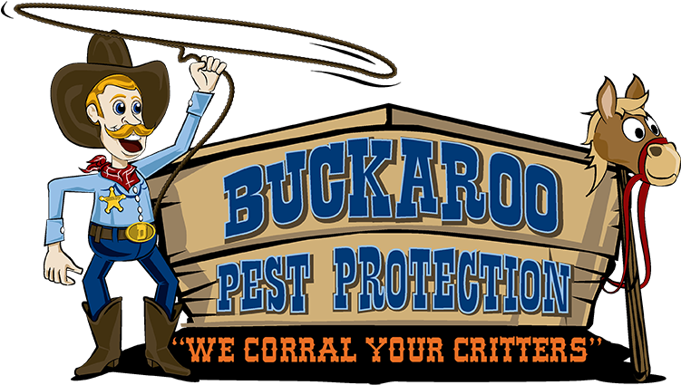 Cartoon Clipart (750x450), Png Download