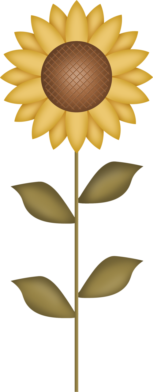 Fa F Pinterest - Eco Friendly Product Png Clipart (500x1280), Png Download