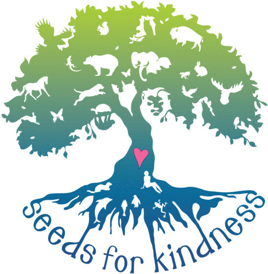 Seeds For - Kindness Clipart - Png Download (600x600), Png Download