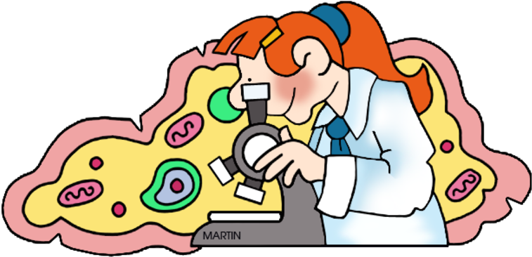 Lesson Writing Cell Organelle Analogies - Science Phillip Martin Clipart - Png Download (800x416), Png Download