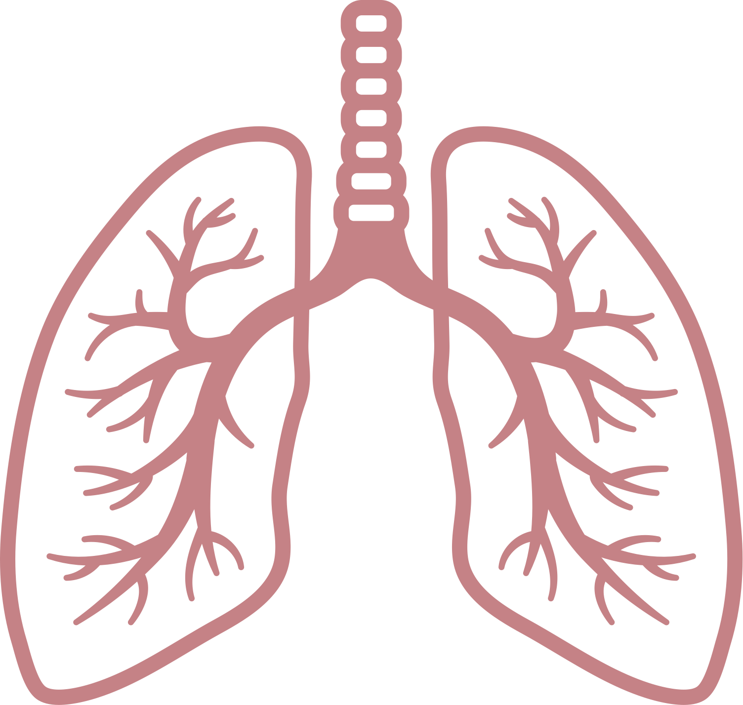 Lungs Clipart Transparent - Lungs Clipart Png - Full Size Clipart ...