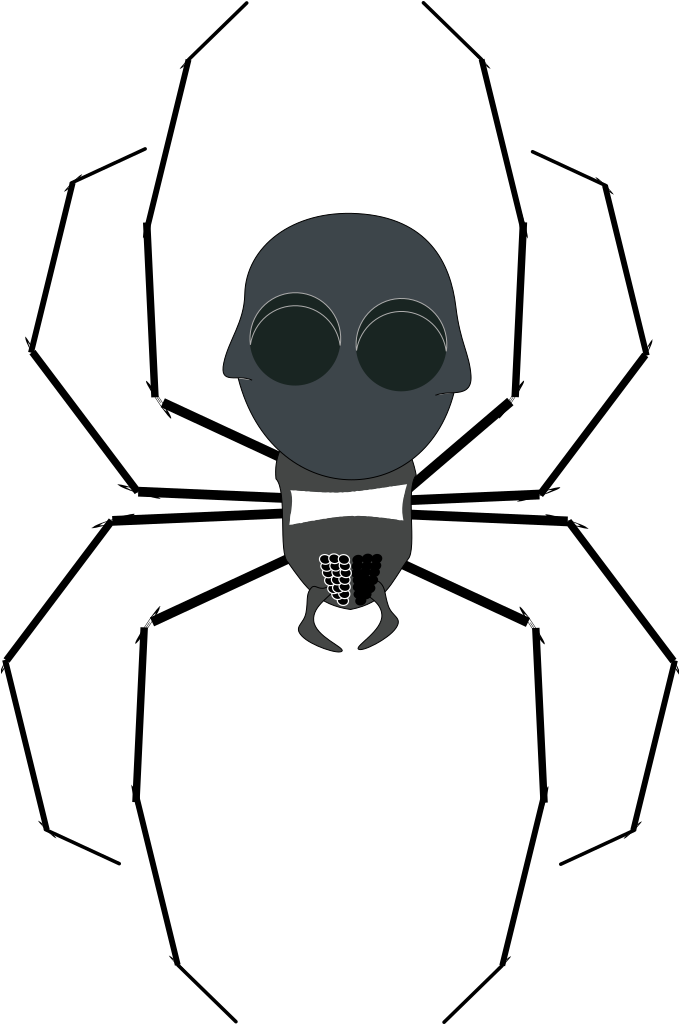 Fancy Spider Svg Clip Arts - Spider Clip Art - Png Download (1024x1024), Png Download