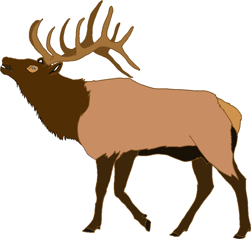 Elk Clipart - Png Download (640x480), Png Download