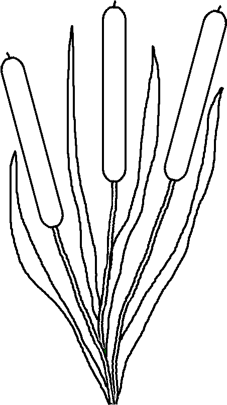 Graphics By Ruth - Hand Clipart (467x812), Png Download