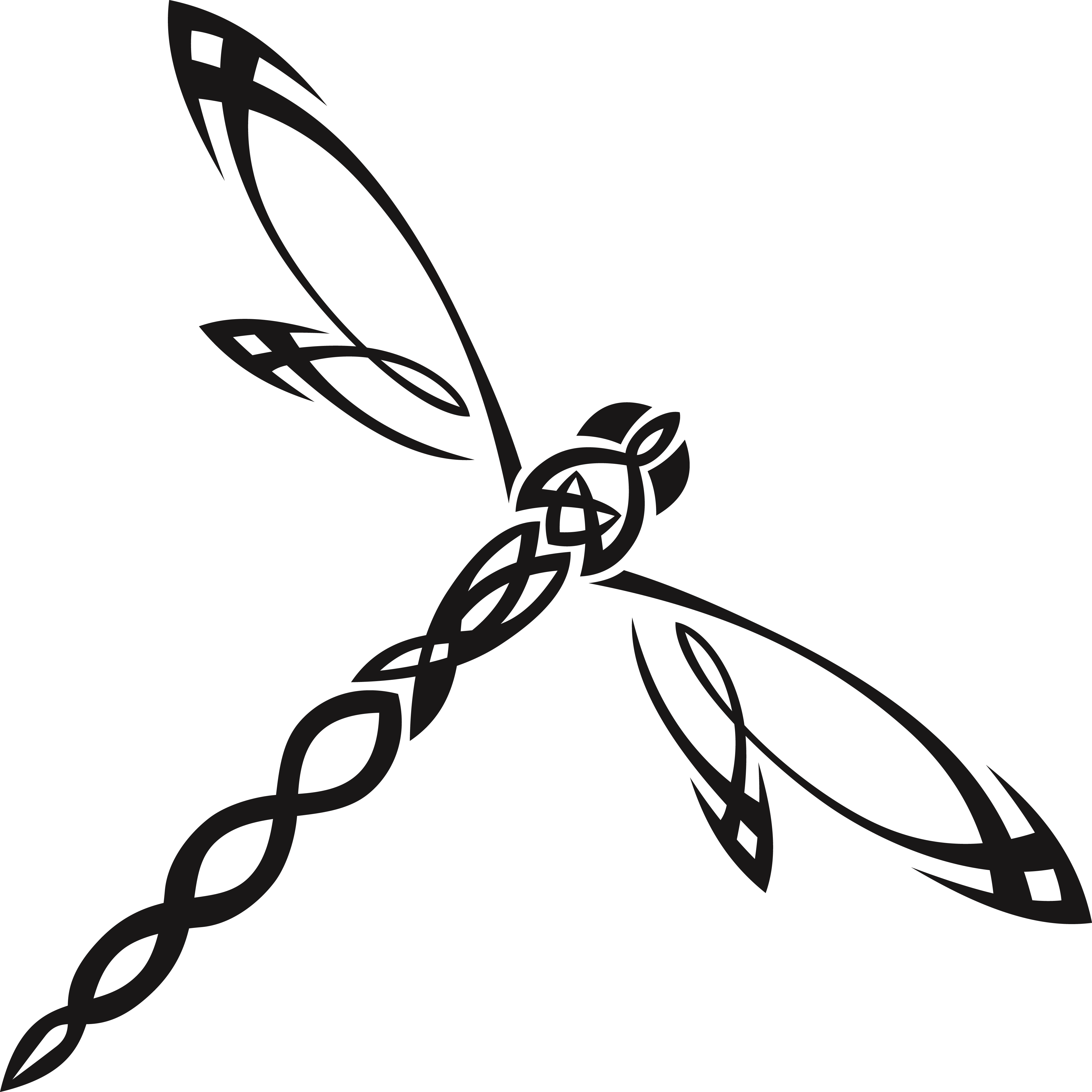 Dragonfly Insect Clip Art - Clipart Dragonfly Transparent Background - Png Download (4000x4000), Png Download