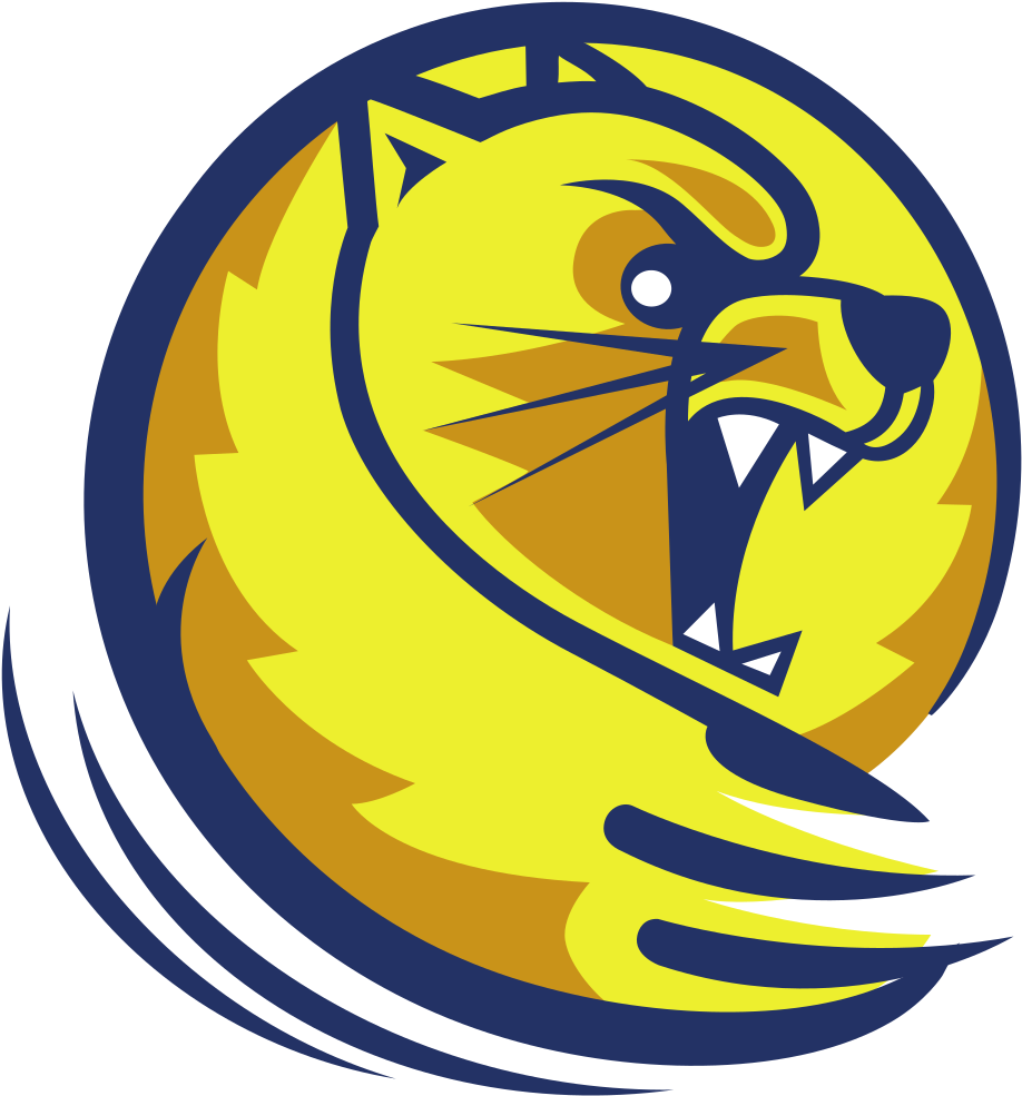 Lander University Colors - Lander University Athletics Logo Clipart (1000x1000), Png Download