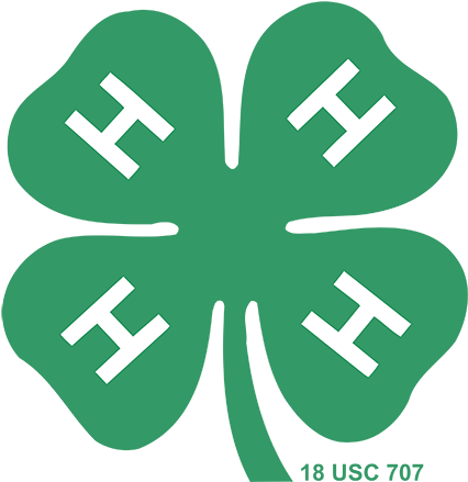 4h Logo Png Transparent & Svg Vector - Printable 4 H Logo Clipart (800x600), Png Download