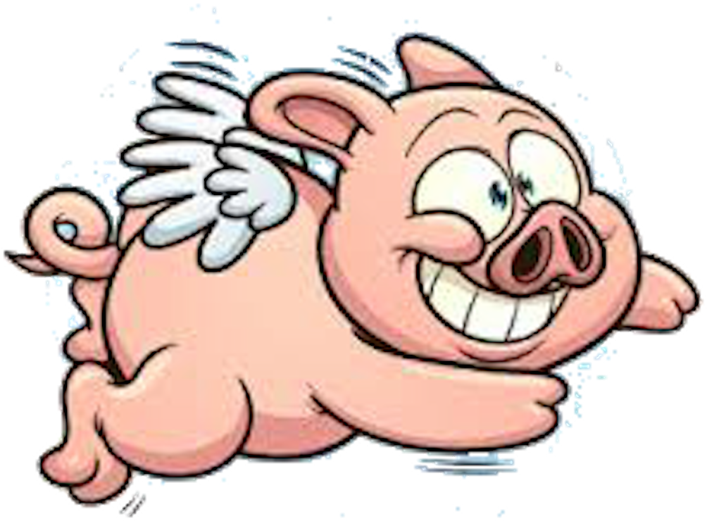 Icon Of Flying Pig Clipart (1024x1024), Png Download