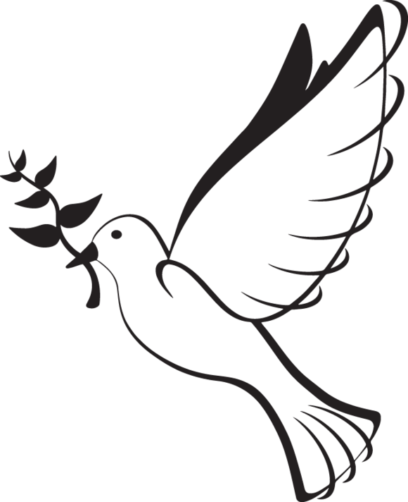 Olive Branch Peace Dove Clipart (580x712), Png Download