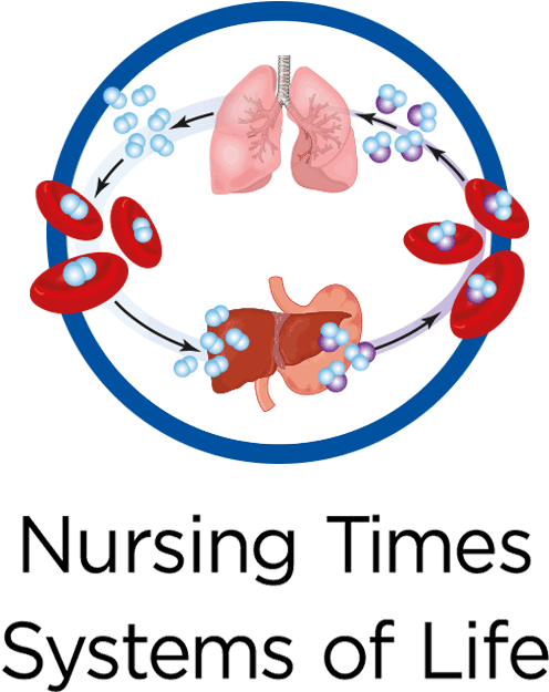 Breathe Clipart Breathing Rate - Gas Exchange In The Lungs - Png Download (1000x667), Png Download