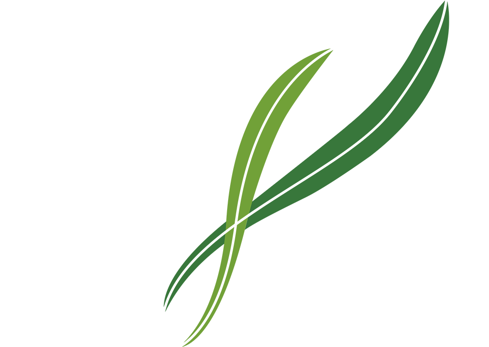 Independent Jewish Voices Canada Clipart (1000x692), Png Download