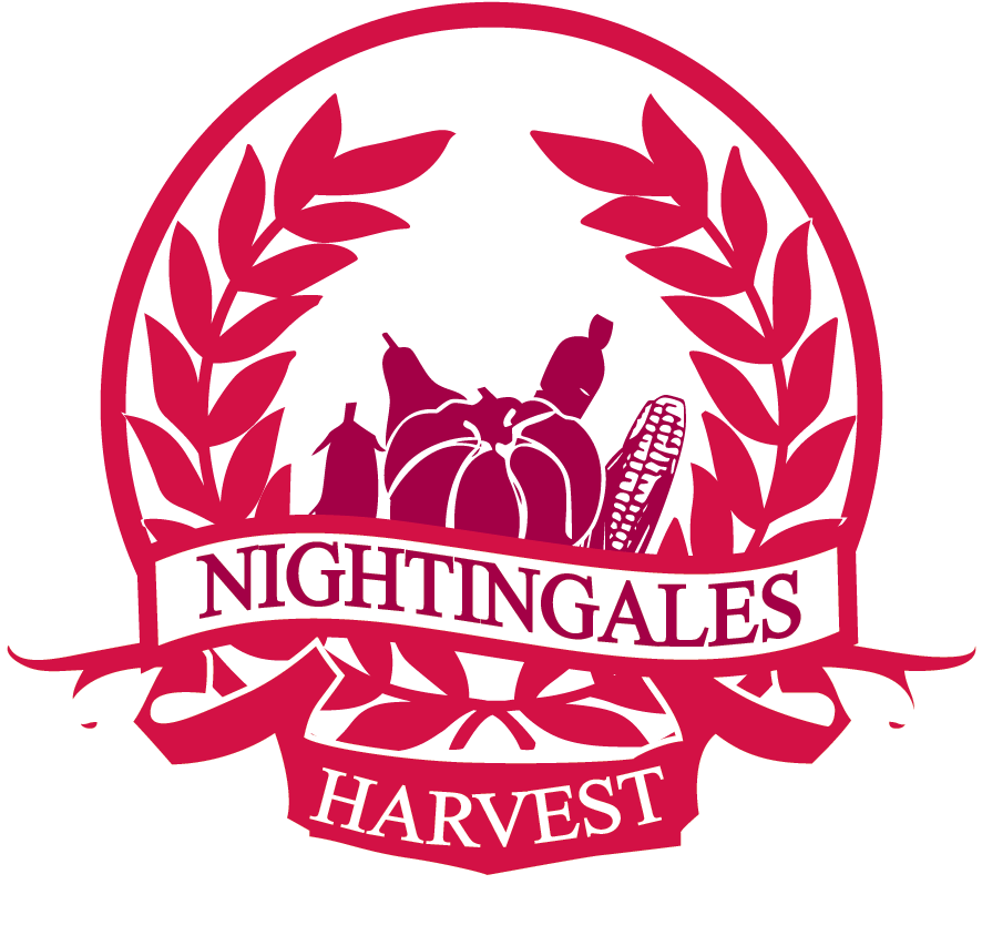 Università Degli Studi Niccolò Cusano Clipart (975x975), Png Download