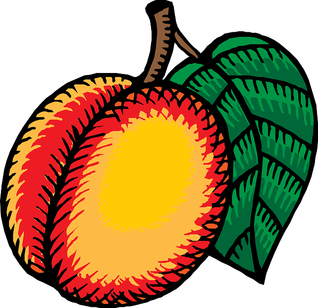 Food, Fruit, Leaf, Cartoon, Kiwi, Nectarine, Recipes - Nectarines Drawing Clipart (640x620), Png Download