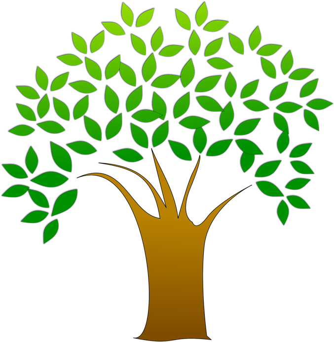 Giving Tree Clipart - Tree Clipart Transparent Background - Png Download (958x719), Png Download