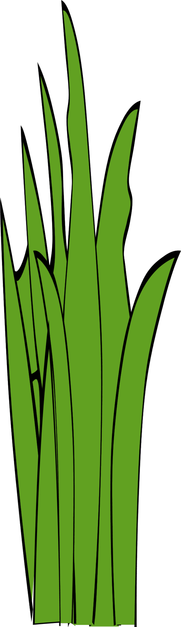 Cat Tails Clipart Clip Freeuse Library 28 Collection - Clipart Long Grass - Png Download (600x2079), Png Download
