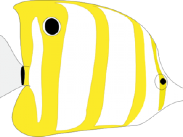 Transparent Marine Biologist Clipart - Tropical Fish - Png Download (640x480), Png Download