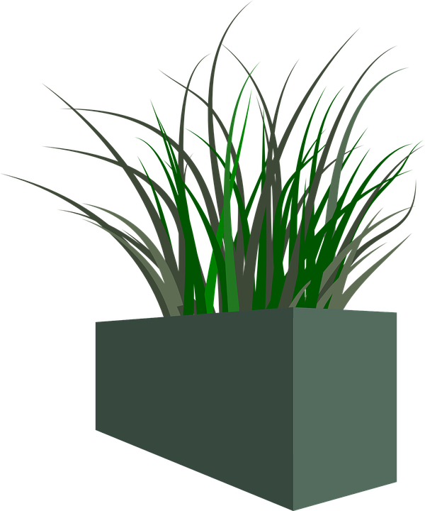 Transparent Clipart Weeds - Transparent Background Plant Grass Png (600x720), Png Download