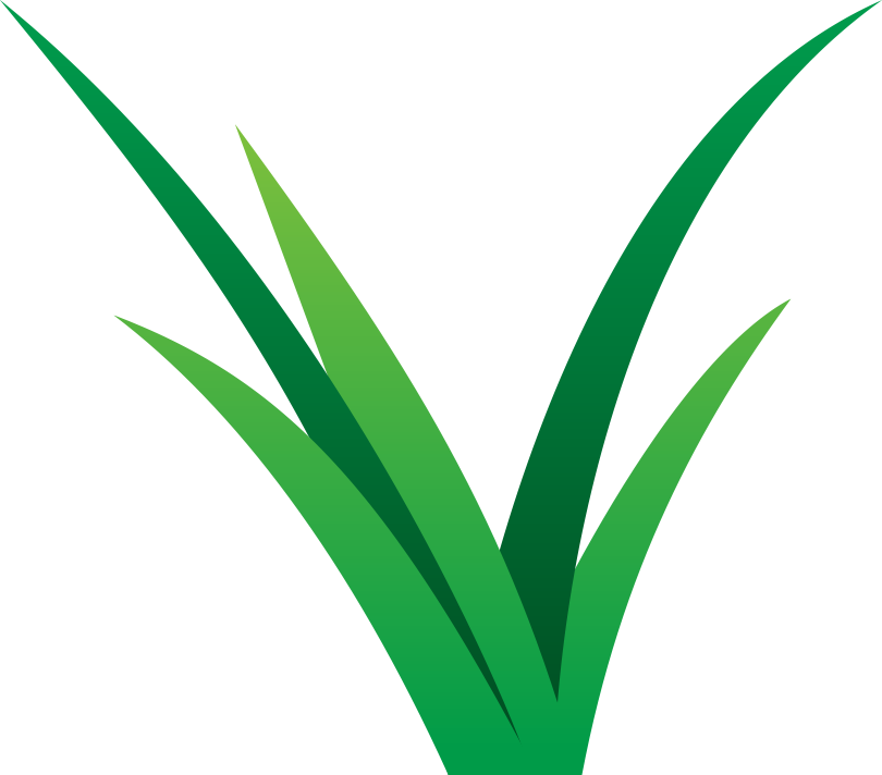 Vibrant Lawn Care - Lawns Care Png Clipart (810x712), Png Download