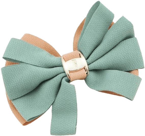 Womens Fashion Accessories Png Clipart - Head Accessories Png Transparent Png (910x582), Png Download