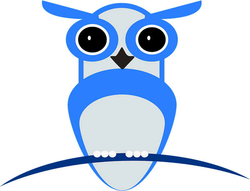 Owl On Branch Clipart - Png Download (800x613), Png Download