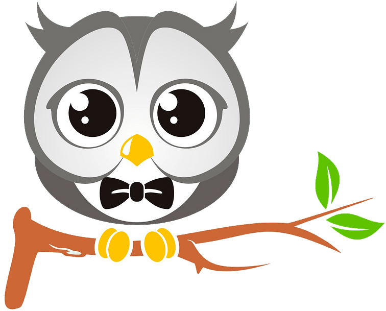 Cute Owl On Branch Clipart - Birds - Png Download (800x632), Png Download