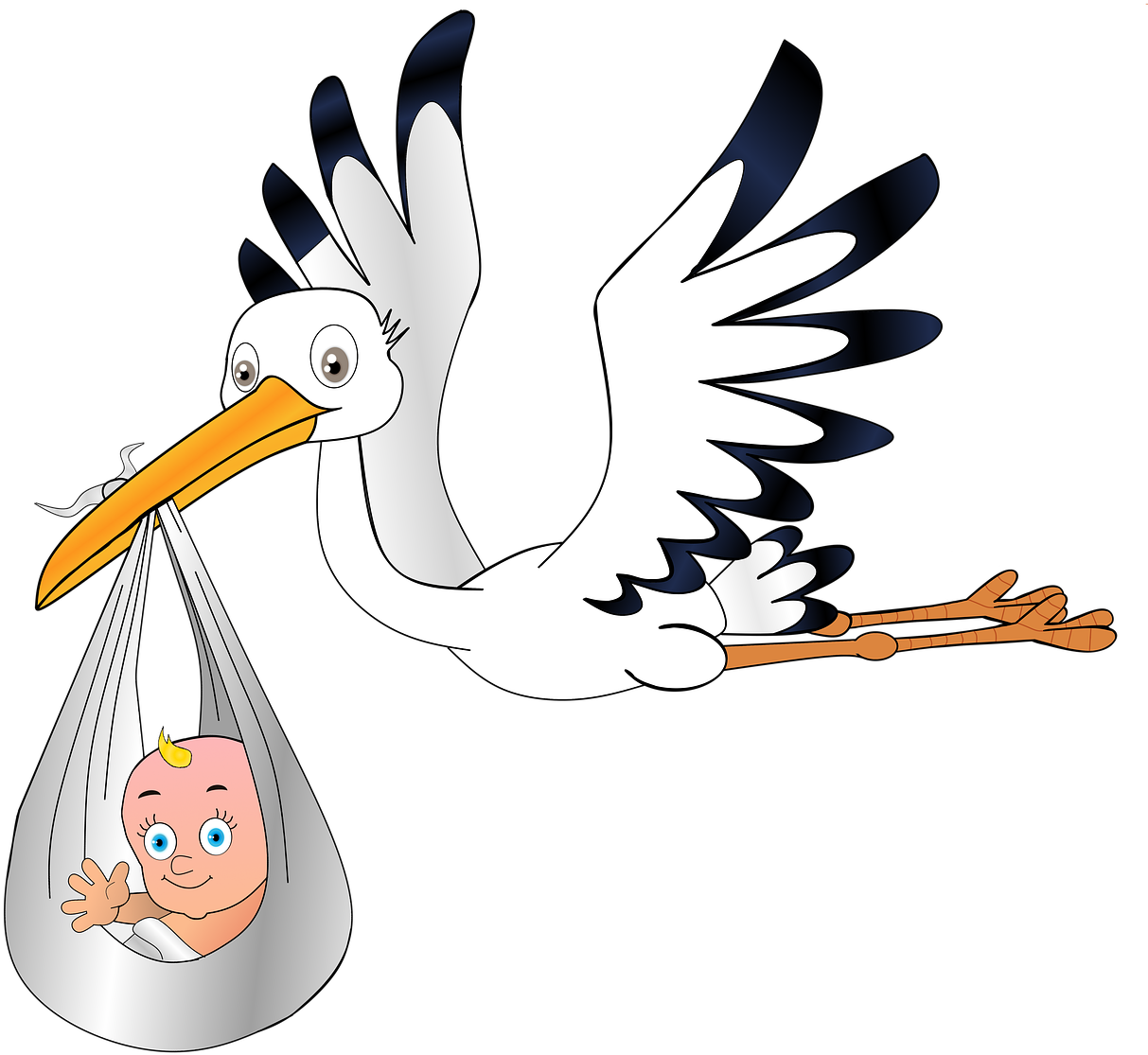Stork Baby Coloring Pages Clipart (814x720), Png Download