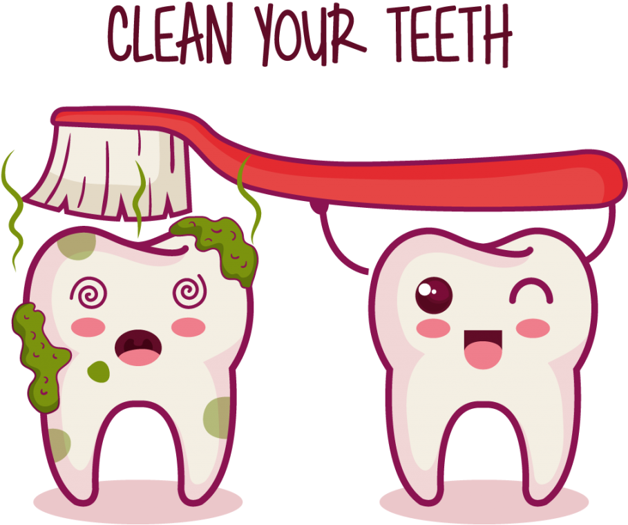 Clean Teeth Cartoon Clipart (1024x795), Png Download