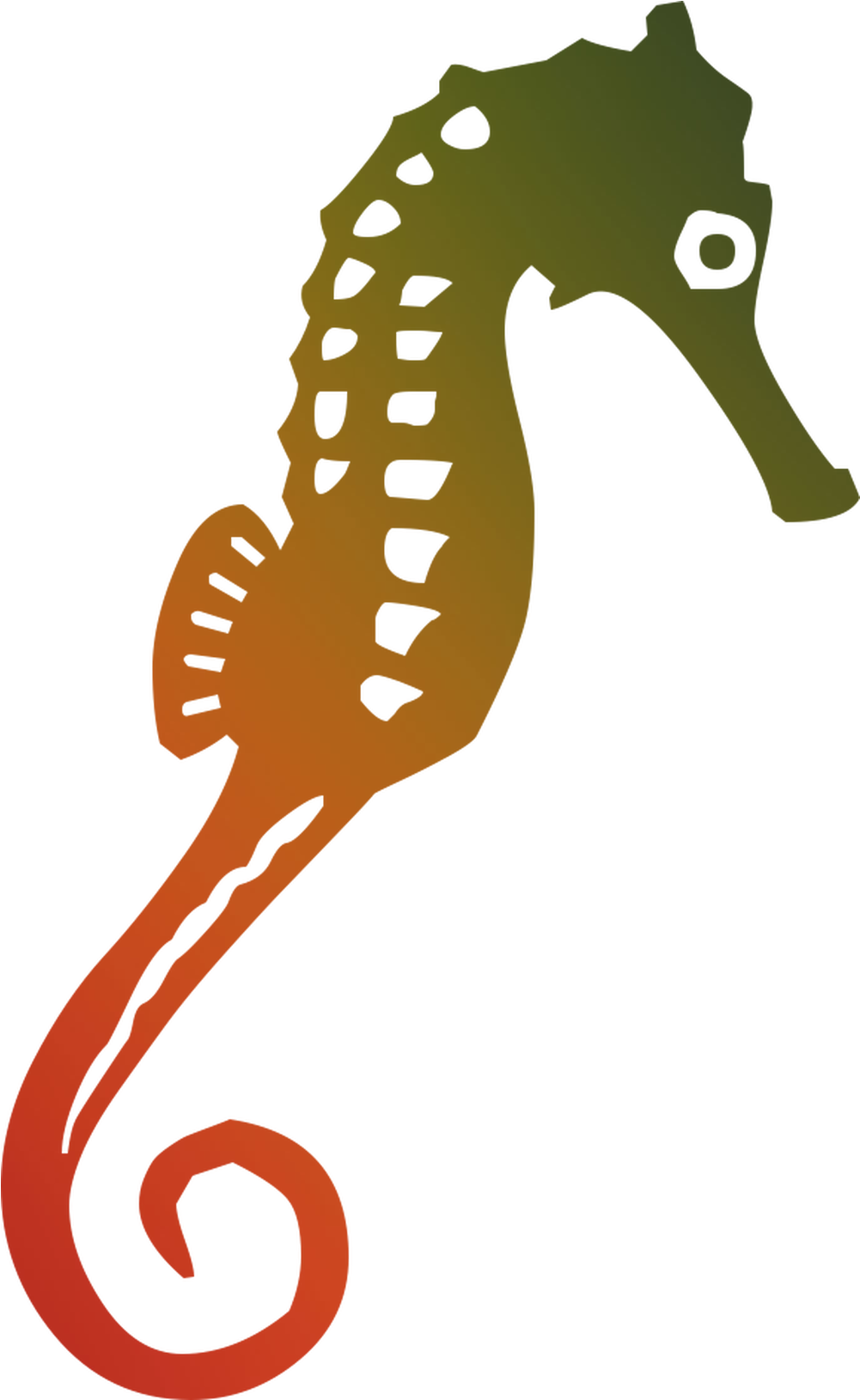 Seahorse Illustration Graphics Free Hq Image Clipart - Seahorse Graphic - Png Download (1400x2000), Png Download
