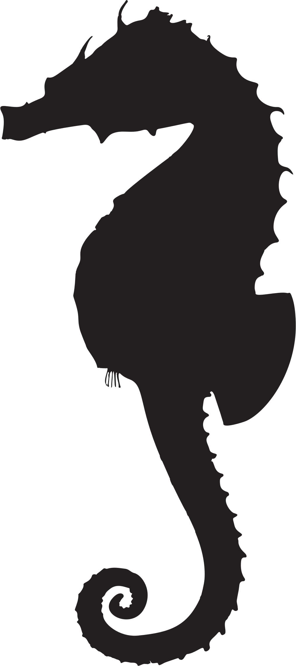 Clipart - Silhouette Seahorse Png Transparent Png (1013x2274), Png Download