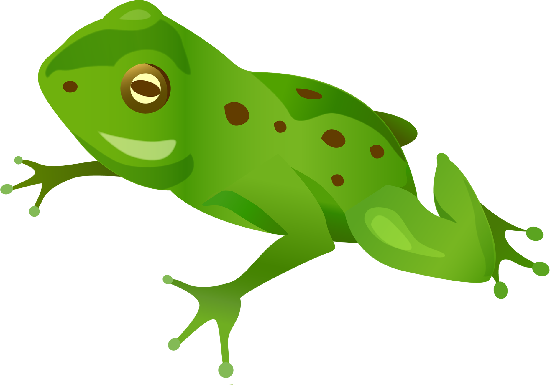 Green Frog Png - Vector Frog Png Clipart (1865x1308), Png Download