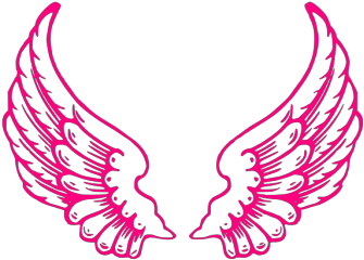 Pink Chubby Bird Png Images - Wings Images Hd Png Clipart (600x600), Png Download