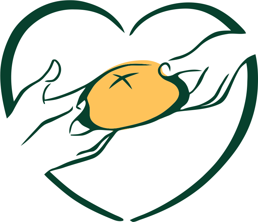 Clip Art - Png Download (843x726), Png Download