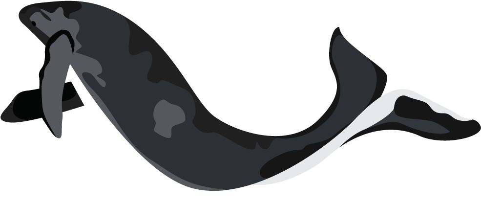 Clip Art - Png Download (1080x1080), Png Download