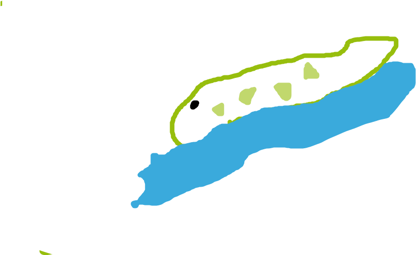 Clip Art - Png Download (1012x503), Png Download