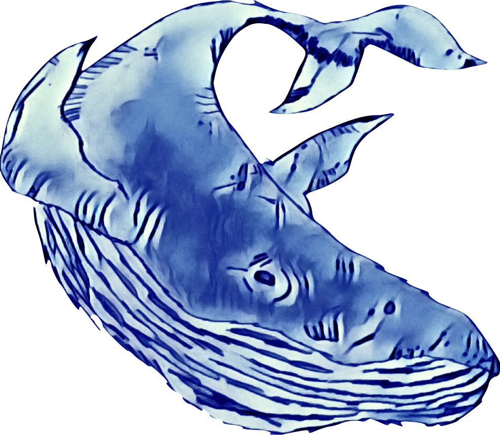 Blue Whale Trading Company Clipart (986x858), Png Download